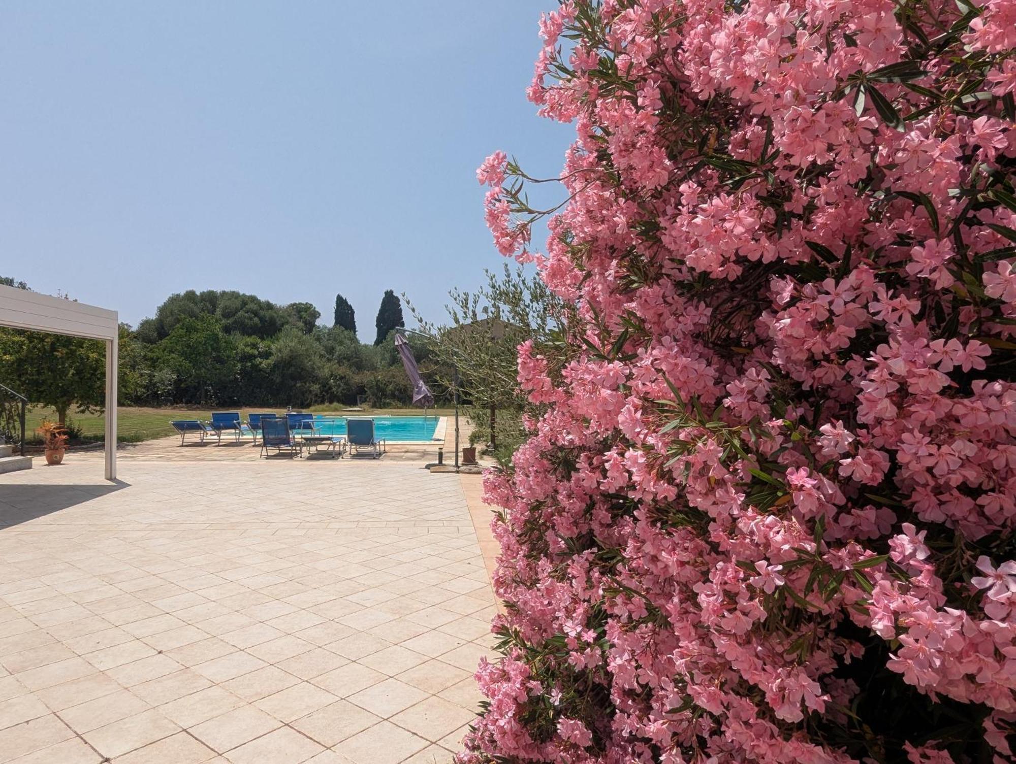 L'ulivo Apartment Alghero